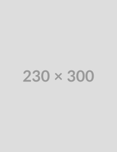 Wins 2025 good design london Award