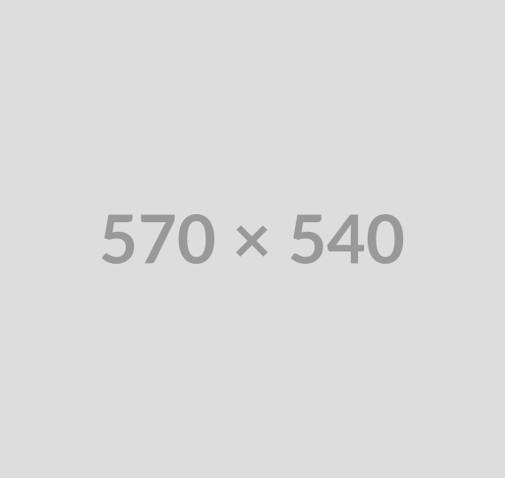 Project Details